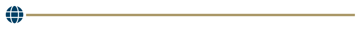 globe icon