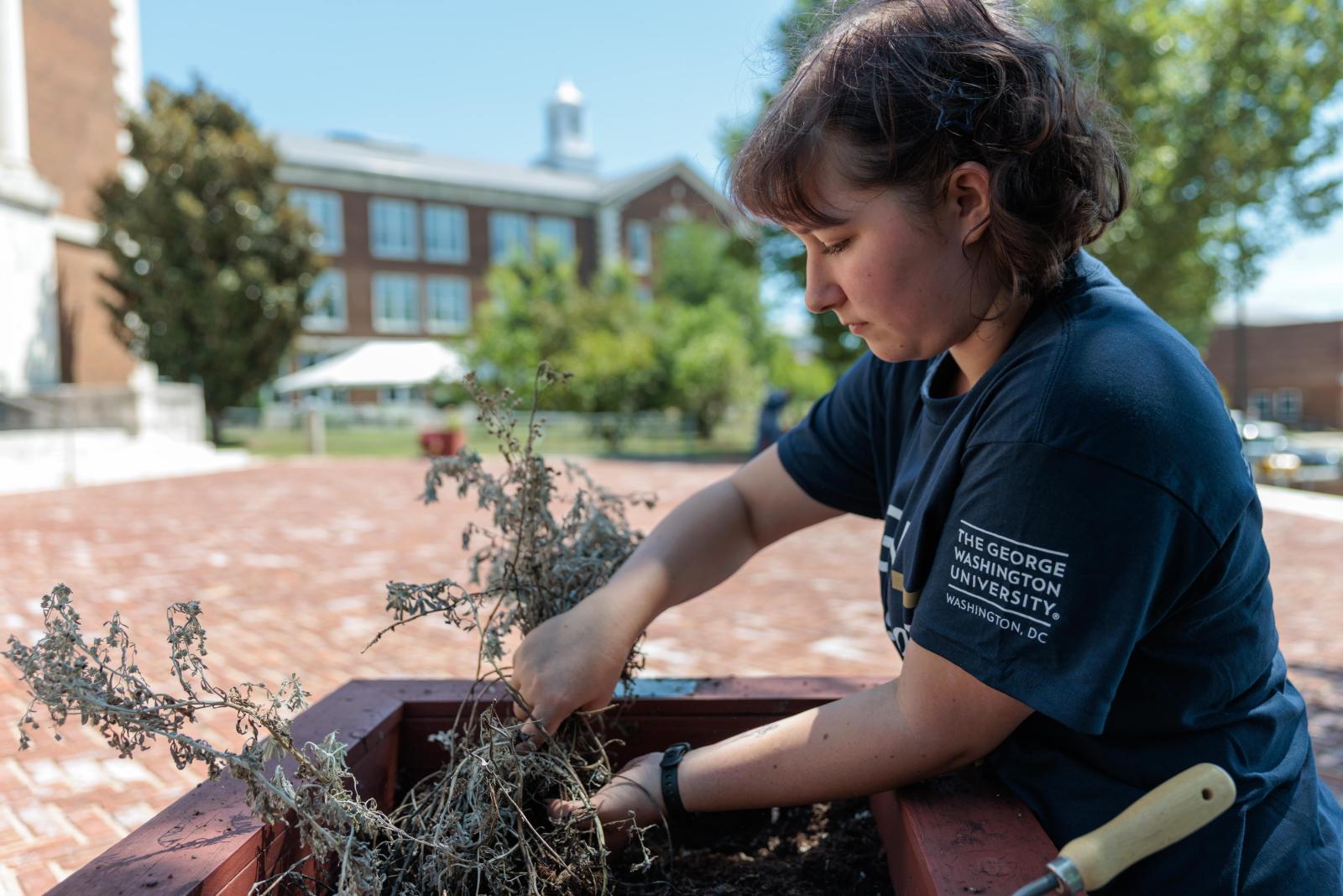 Photos from GW Class of 2029 Serving at partner sites Welcome Day 2025